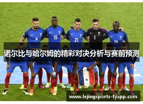 诺尔比与哈尔姆的精彩对决分析与赛前预测